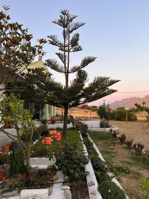 Borgo Majoca - Μονοκατοικία Σε Κυκλαδίτικο Νησί Mesi  Экстерьер фото